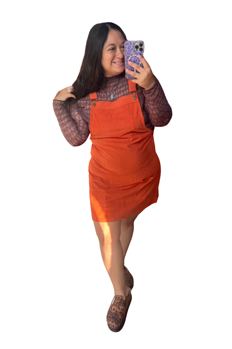 Chocolate Brown Mesh Top