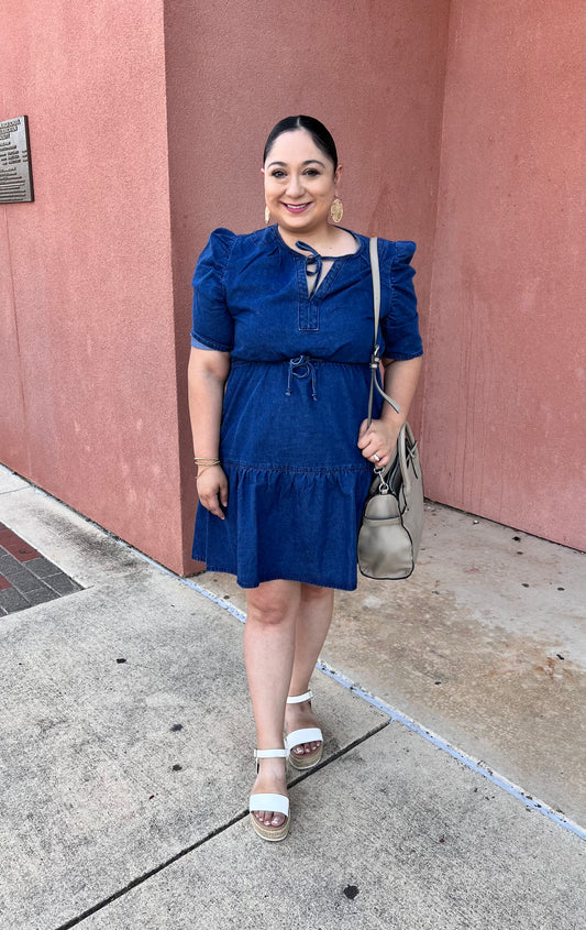Dara Denim Dress